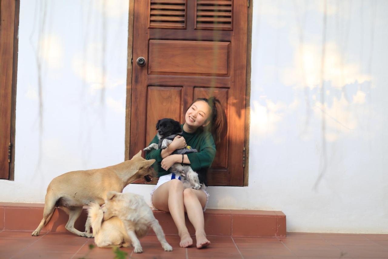 Beauty Season 1935 Hotel Luang Prabang Ngoại thất bức ảnh